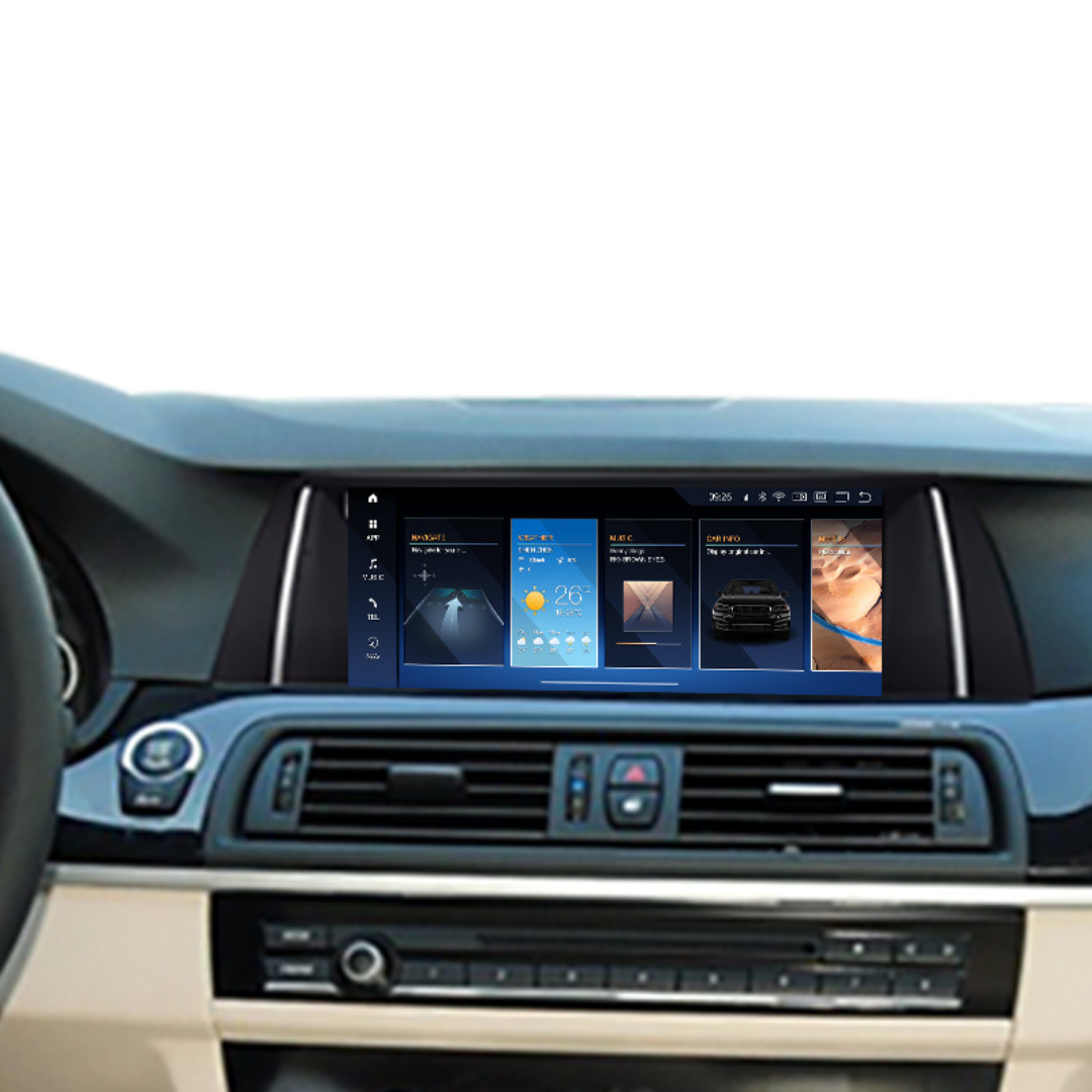 BMW 5 Series 2009-2010
